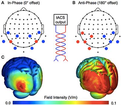 No Evidence for Phase-Specific Effects of 40 Hz HD–tACS on Multiple Object Tracking